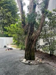 MARGOLIOUTH ROAD (D10), Detached #622533151